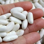 Habichuelas Blancas