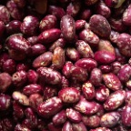 Habichuelas Rojas